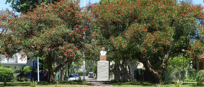 Plazoleta Manuel Belgrano