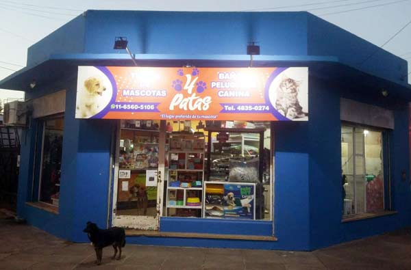 4 Patas