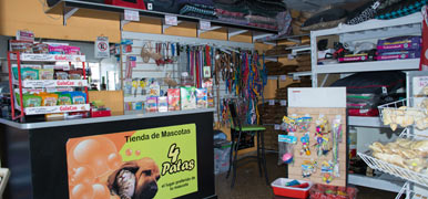 4 Patas - foto 2